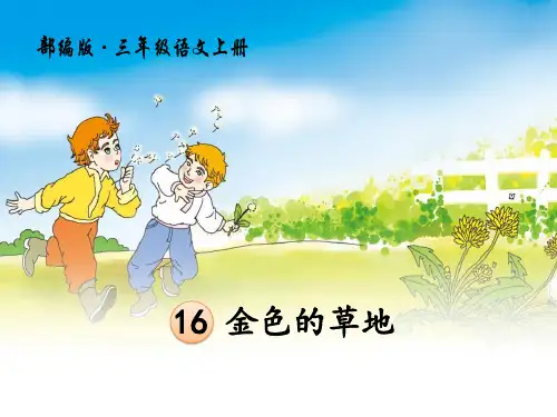 三年级上册语文第十六课《金色的草地》课件