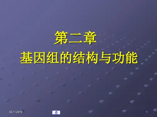 第02章基因组的结构与功能 45页