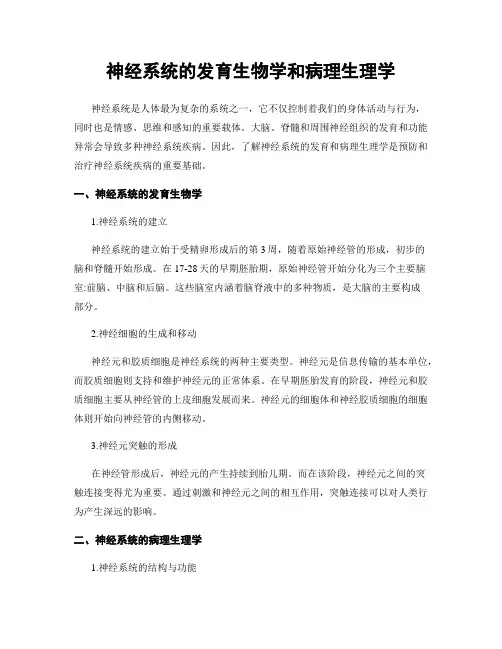 神经系统的发育生物学和病理生理学
