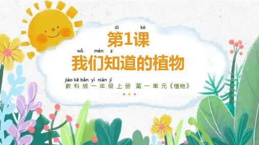 教科版一年级上册科学《我们知道的植物》教学说课课件