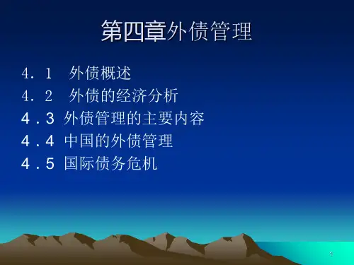 外债管理PPT课件
