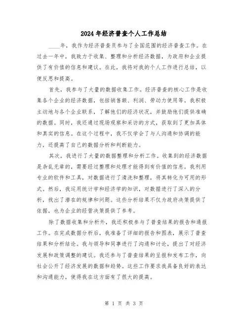 2024年经济普查个人工作总结(2篇)