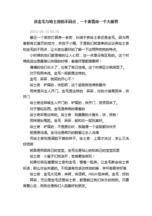 谈金毛与哈士奇的不同点，一个表情帝一个大暖男