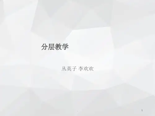 分层教学PPT精选文档