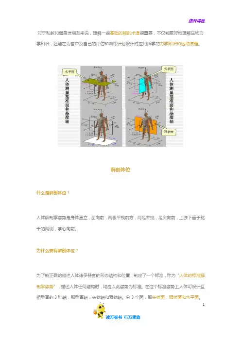 【健身必备常识】常见运动解剖术语