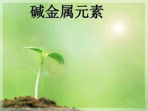 化学课件《碱金属元素》优秀ppt6 人教课标版