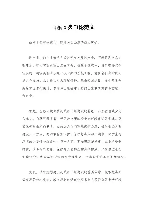 山东b类申论范文