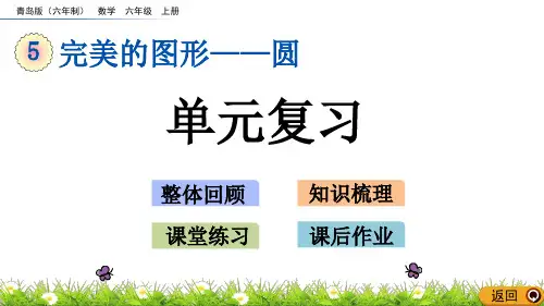 青岛版小学六年级数学上册第五单元圆单元复习教学课件