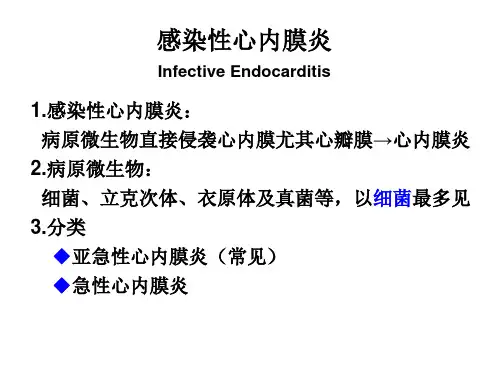 感染性心内膜炎【24页】