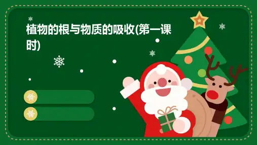 植物的根与物质的吸收(第一课时)-课件