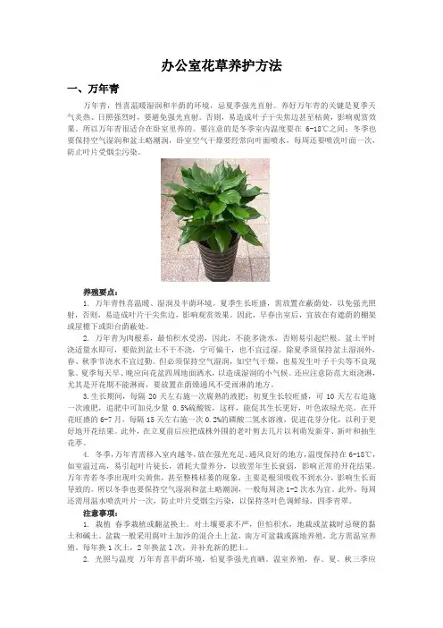 办公室花草养护方法
