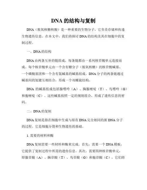 DNA的结构与复制