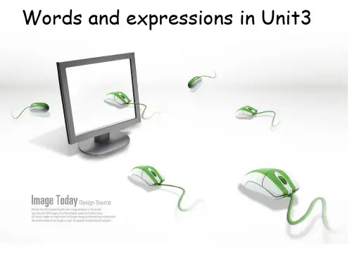 必修二unit3词汇