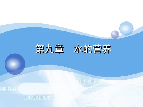水的营养