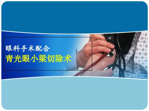 青光眼小梁切除术课件