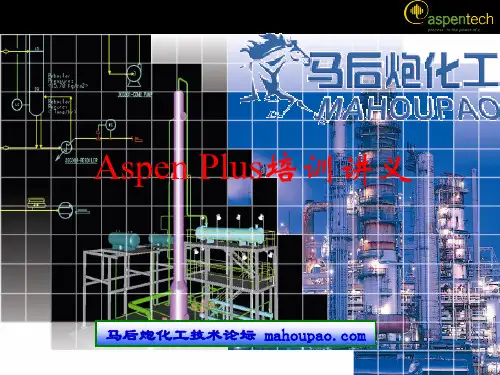 ASPEN PLUS入门教程  马后炮化工技术论坛