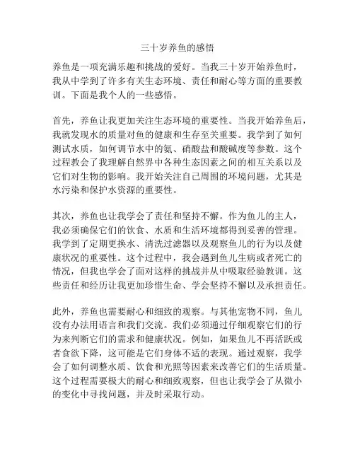 三十岁养鱼的感悟
