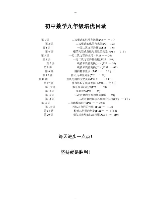 【精华篇】初中数学九年级培优教程整理(全)