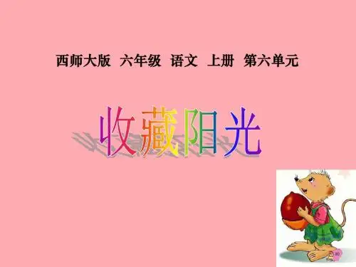 六年级语文上册 第22课 收藏阳光课件1 西师大版