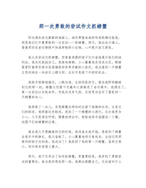 那一次勇敢的尝试作文抓螃蟹