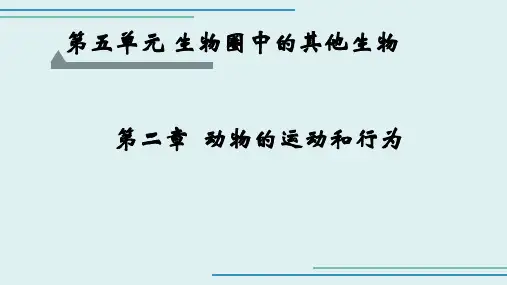 人教版生物八年级上册第二章动物的运动和行为复习课件