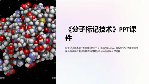 《分子标记技术》课件