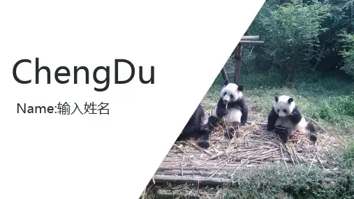 成都英语介绍PPT
