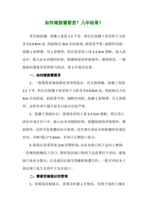 如何嫁接葡萄苗？几年结果？