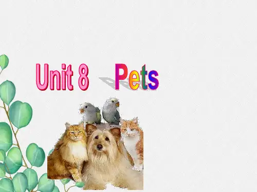 公开课获奖《Unit8 Pets 》课件(公开课) 