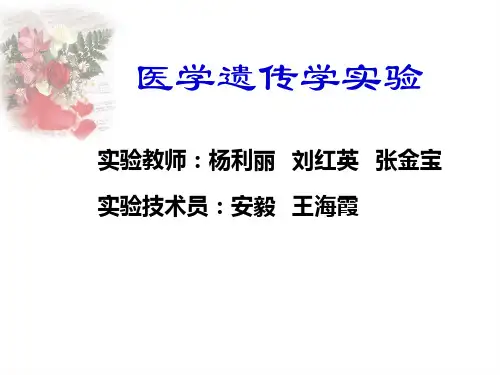 医学遗传学实验