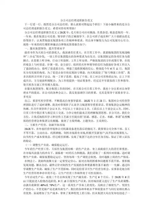 分公司总经理述职报告范文