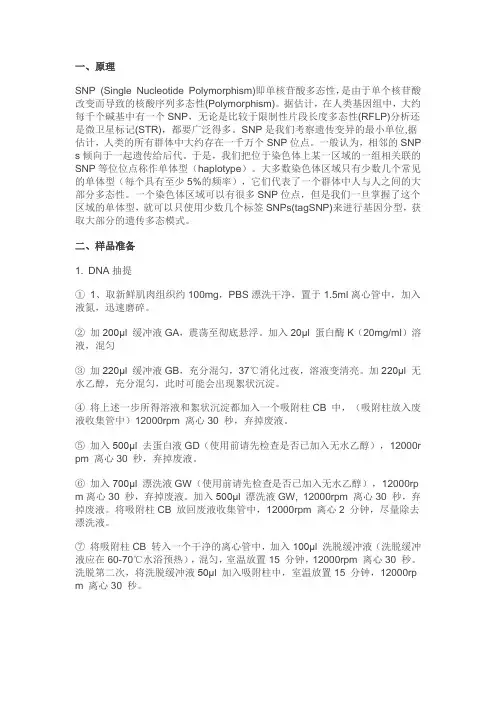 SNP实验标准操作规程