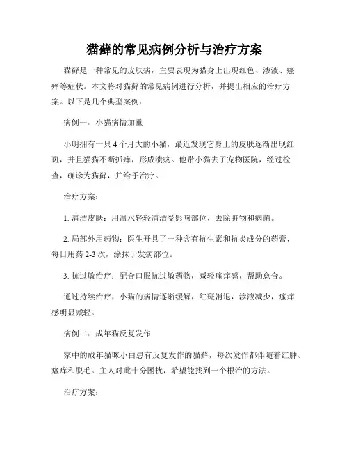 猫藓的常见病例分析与治疗方案