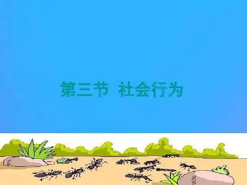 人教版5.2.3《社会行为》课件(27张PPT)(优质版)