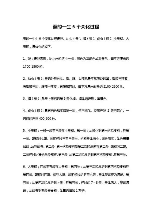 蚕的一生6个变化过程