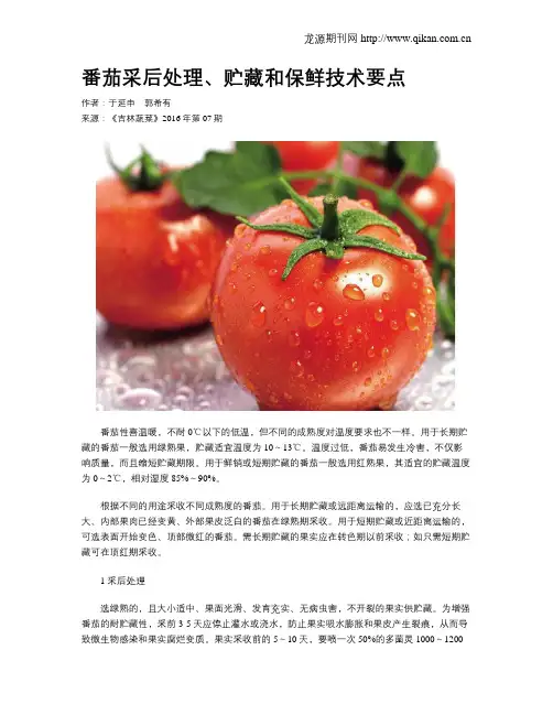 番茄采后处理、贮藏和保鲜技术要点