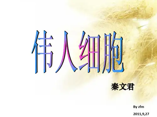 伟人细胞ppt课件