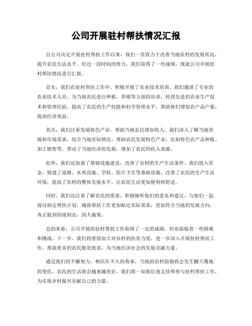 公司开展驻村帮扶情况汇报