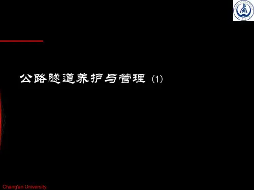 (完整版)高速公路隧道养护规范