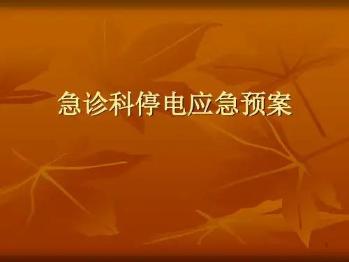 停电应急预案ppt课件