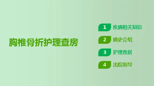 胸椎骨折护理查房 教学PPT课件