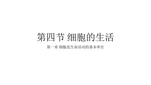 人教版七年级上册第二单元 第一章 第四节《细胞的生活》课件(共33张PPT)