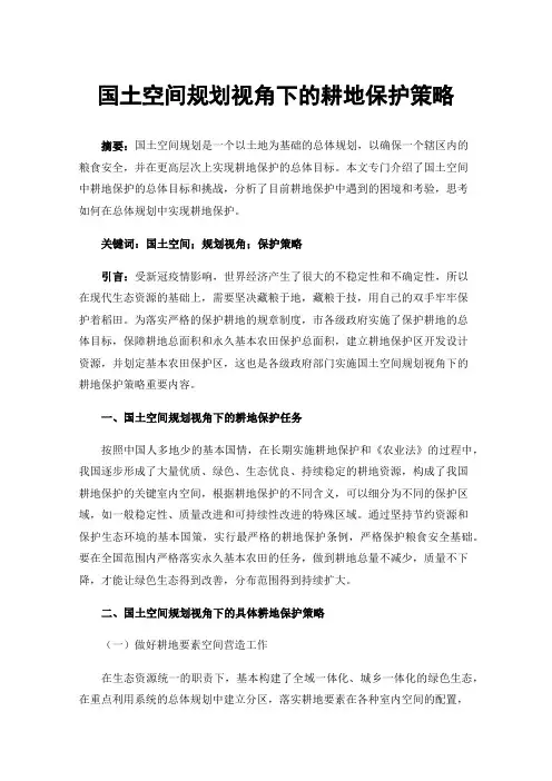 国土空间规划视角下的耕地保护策略