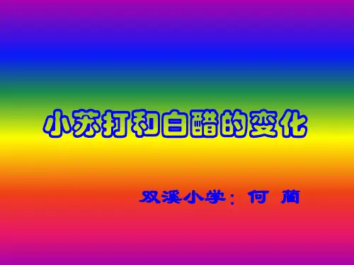 小苏打和白醋的变化ppt