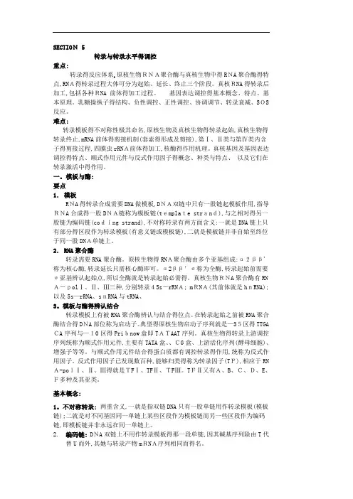 转录和转录水平的调控要点