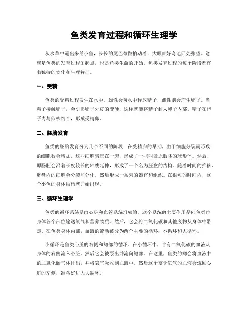 鱼类发育过程和循环生理学