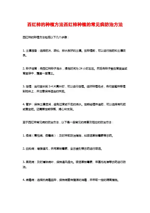 西红柿的种植方法西红柿种植的常见病防治方法