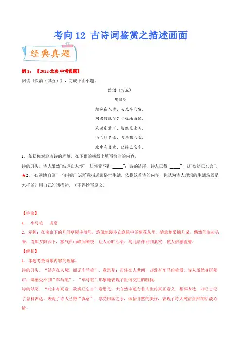 考向12诗词鉴赏之描述画面(重点)-备战2023年中考语文一轮复习考点微专题(解析版)(全国通用)