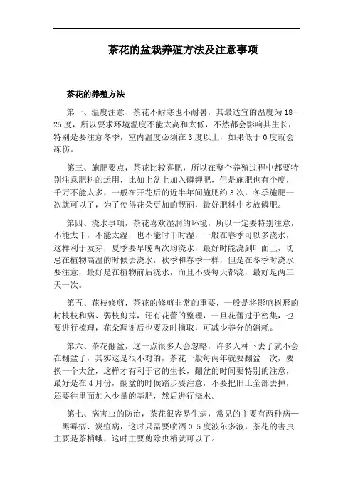 茶花的盆栽养殖方法及注意事项