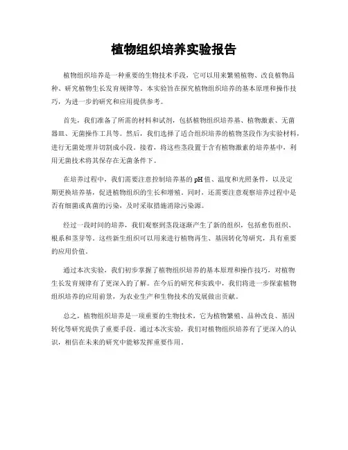 植物组织培养实验报告